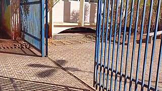 I Invited The Library Girl Home To Read A Book And Fucked Her Bareback On The Floor