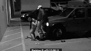 slut blows guard to avoid fine