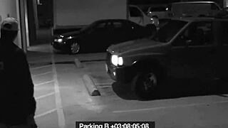 slut blows guard to avoid fine