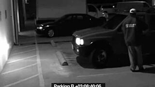 slut blows guard to avoid fine