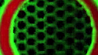 Soccer Milfs Sofie Marie!