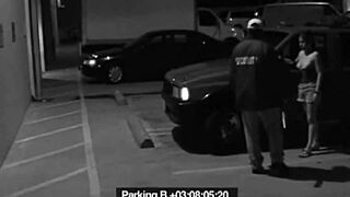 slut blows guard to avoid fine