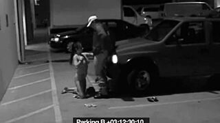 slut blows guard to avoid fine