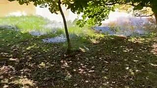 Park Stroll Turns into Monster Cock Fun