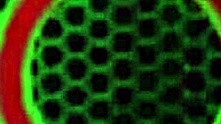 milf sara jay fucks that orange dildo with bouncy tits 😏