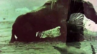 Vintage Women Scenes