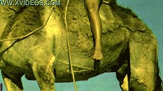 Vintage Women Scenes