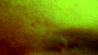 Little Friends Lend Hand