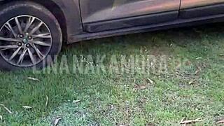 Fucking hot Japanese pussy in car 😈