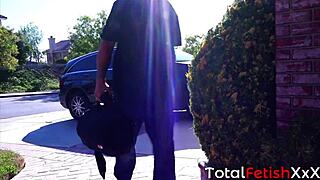 All She Had To Do Was Wear Her Skimpiest Outfit And As Long As She Took The D Hed Give Her The A