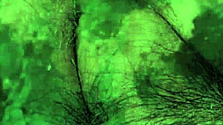 Vintage Taboo Pussy and Pooch