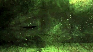 Vintage Taboo Pussy and Pooch