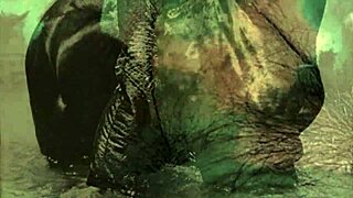 Vintage Taboo Pussy and Pooch