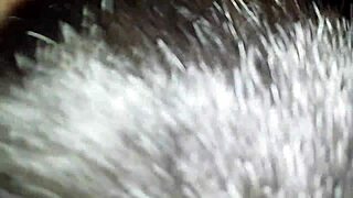 amateur sucking and fucking until orgasm