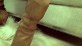 Horny Couple Lovemaking In Various Positions