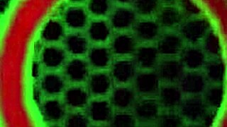 Intense ass play leads to facial fun 💦