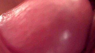 Macro Lens Captures Doggy Style Pussy Close-Up