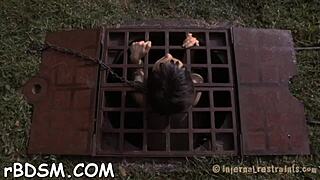 Free sadomasochism sex stories