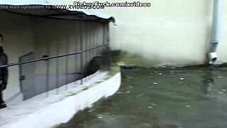 Hey, watch this blonde amateur getting picked up and sucking on the porch