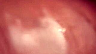 Macro Lens Captures Doggy Style Pussy Close-Up