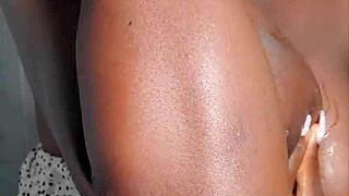 Missaquaruim bave et sen jaille