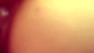 Macro Lens Captures Doggy Style Pussy Close-Up