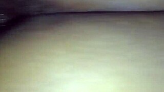 Sexy ass ebony walking doggy