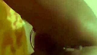 I updated Nigarchrist with petal details on June 1, 2025