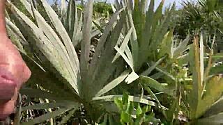 Clitlicker662 update 40 - img 1437 - jun 30 2025