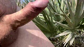 Clitlicker662 update 40 - img 1437 - jun 30 2025