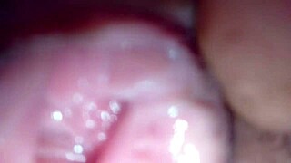 Fucking Pretty Pornstar's Shaved Pussy To Orgasm