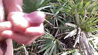 Clitlicker662 update 40 - img 1437 - jun 30 2025