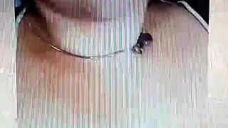 Twetty's Specific, Detailed, Comprehensive, and Neutral Introduction