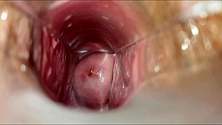 Orgasmo Vaginal 1