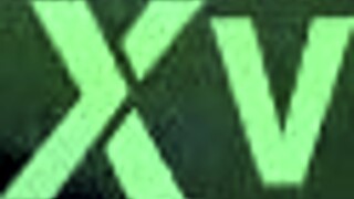 le gusta que la cojan por el pelo?