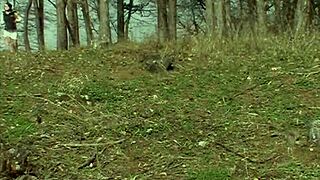 Kate Black Rubs Her Cunt In Nature?