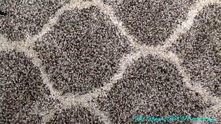 before the scenes, i interviewed pornstar eliza rae about her experiences