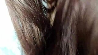 Black bull vs ravishing ray in the car