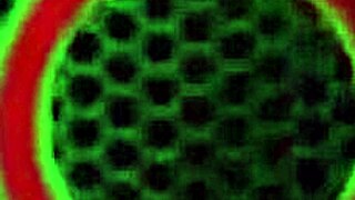 ms julia ann is the hottest hot for teacher with her big tits and wet pussy