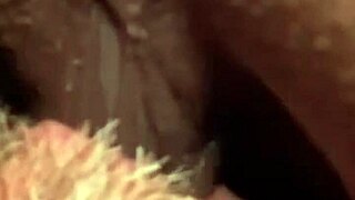 flowerandlouis - update 5 - morning after laughs comedy in everyday life - jul 13 2024