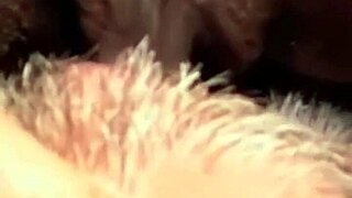 flowerandlouis - update 5 - morning after laughs comedy in everyday life - jul 13 2024