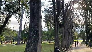 we trained nicely in the park then put her on the iron