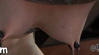 tormenting those babes with a toy makes their bawdy clefts ache with intense pleasure and desire