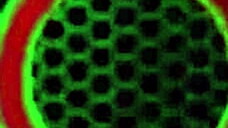 i thnk angelina castro is amazing