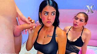 College Sluts Deepthroat Monster Cocks for Homework Help