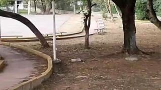 Beruka goes to park horny with sex toy in pussy 😏