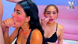 College Sluts Deepthroat Monster Cocks for Homework Help