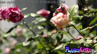 beautiful blonde teen 18+ bombshell sky wonderland shows off her slender curves