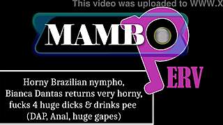 horny brazilian nympho bianca dantas returns and fucks four huge dicks with dap anal