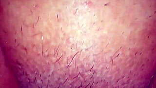 i crave that big ass gordinha delicia